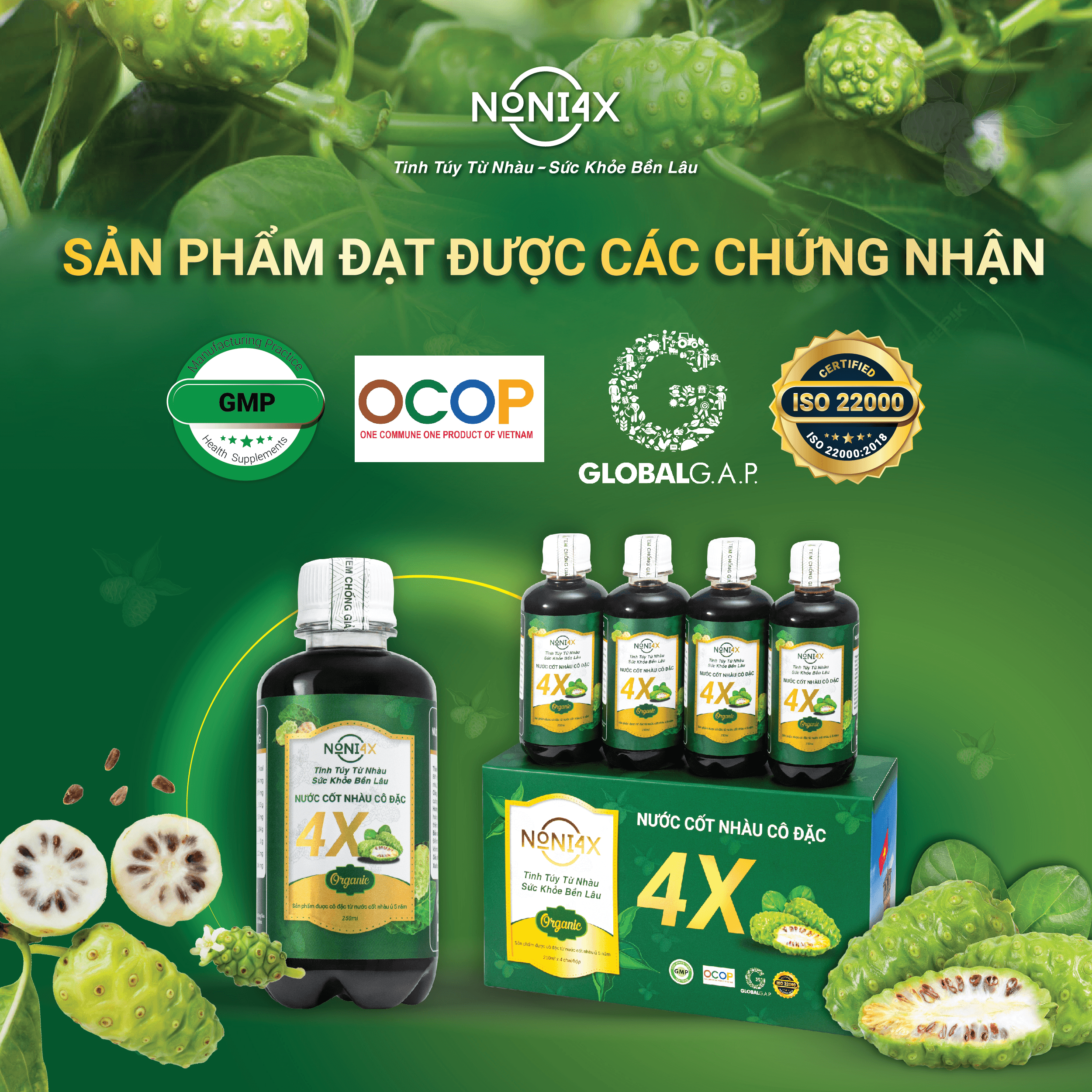 Mini zalo app Noni4X